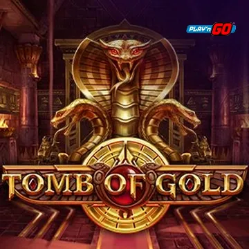 PlaynGo : Tomb of Gold - WINGBET138