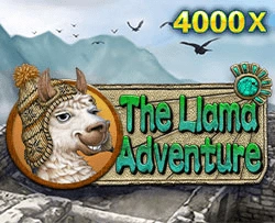 JDB : Llama Adventure - WINGBET138