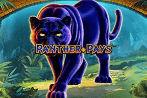 Playtech : Panther Pays - WINGBET138