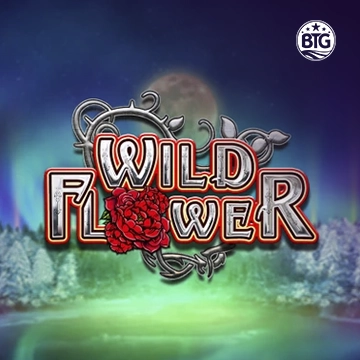 Bigtime : Wild Flower - WINGBET138