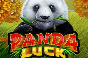 Playtech : Panda Luck - WINGBET138