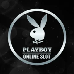 Microgaming : Playboy - WINGBET138